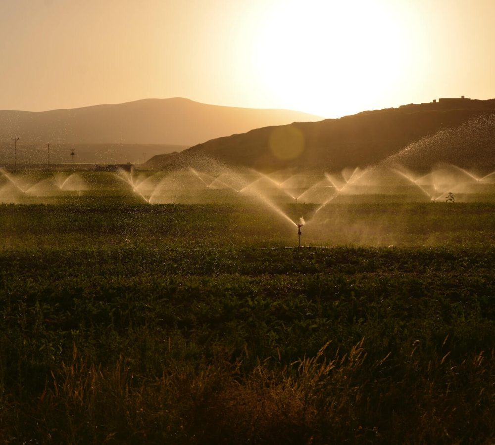 aspersores(1) aspersores(1)